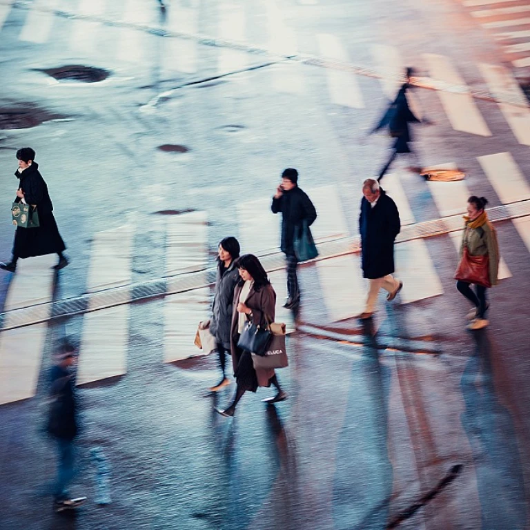 Harnessing the Power of HRIS Data Analytics for Human Resources