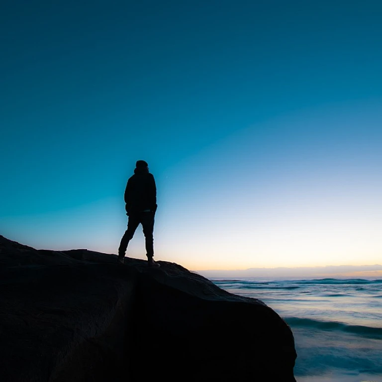 Exploring Alternatives to Insperity in HR Information Systems