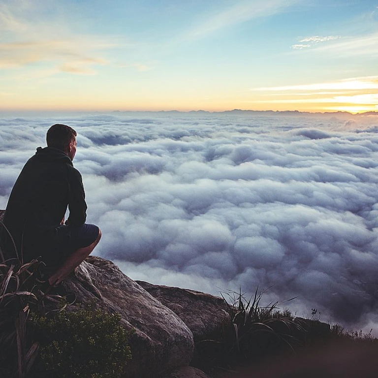 Understanding Environmental Scanning in HRIS