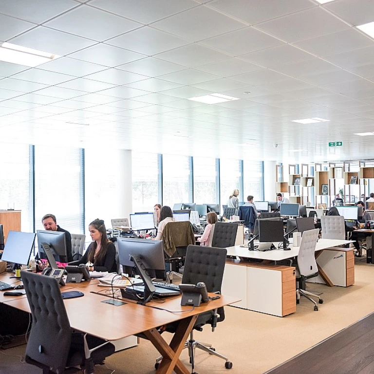 Understanding the Role of a Payroll Compliance Practitioner