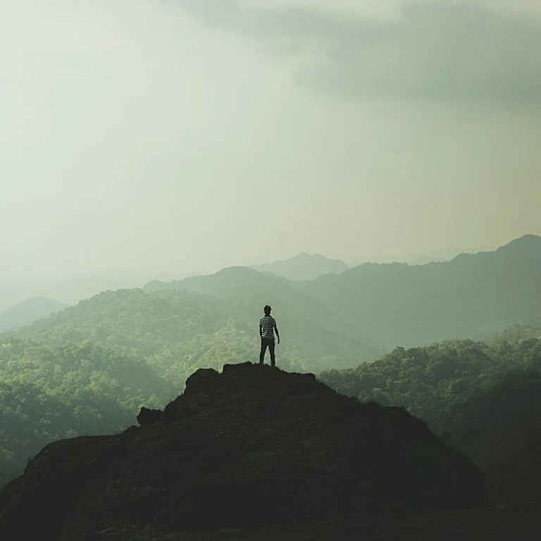 Understanding the Role of a Chief People Officer