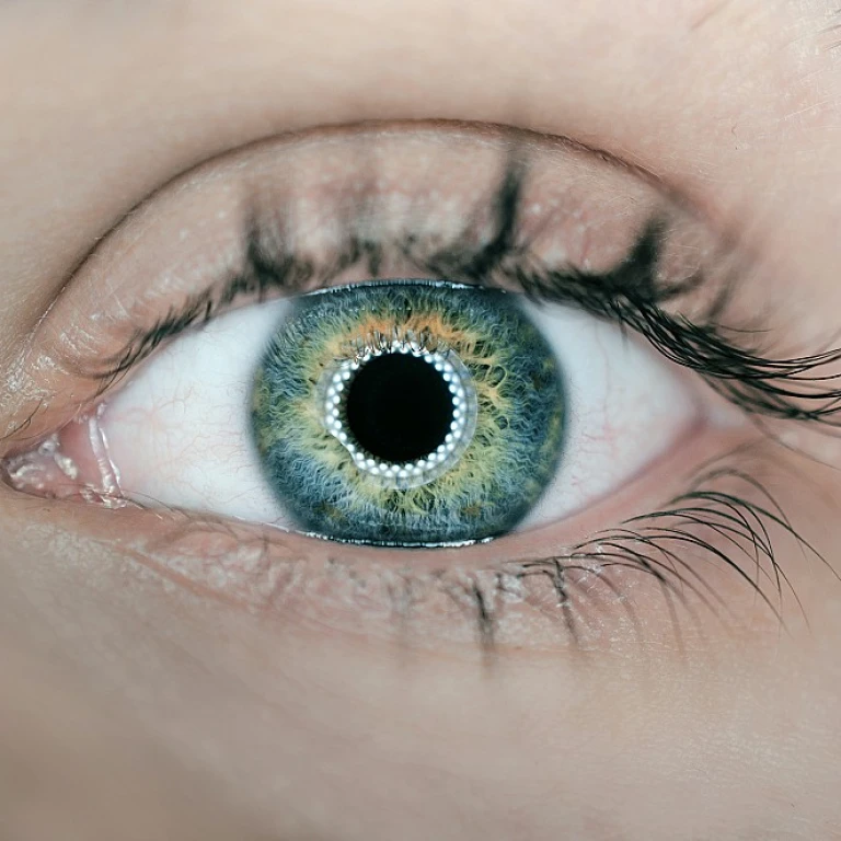 The Evolving Role of the Head of People in HR Information Systems