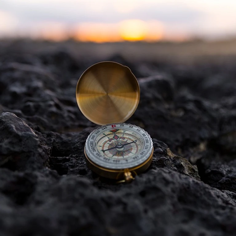 Effortlessly Update Your Direct Deposit in Workday