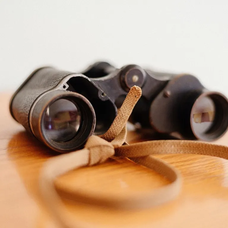 Enhancing Talent Acquisition with Advanced Applications