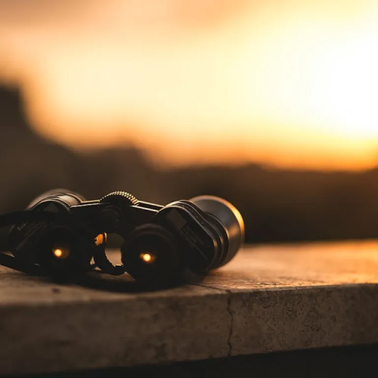 How pensacola employers can optimize their HR information systems